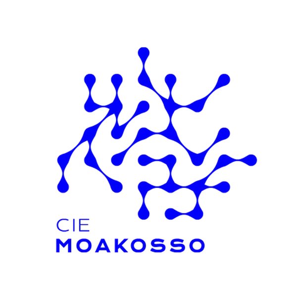Logo Cie Moakosso, réalisation Limbus