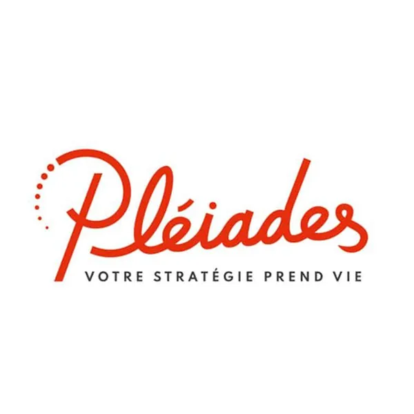 Logo Pléiades, votre stratégie prend vie, réalisation Limbus