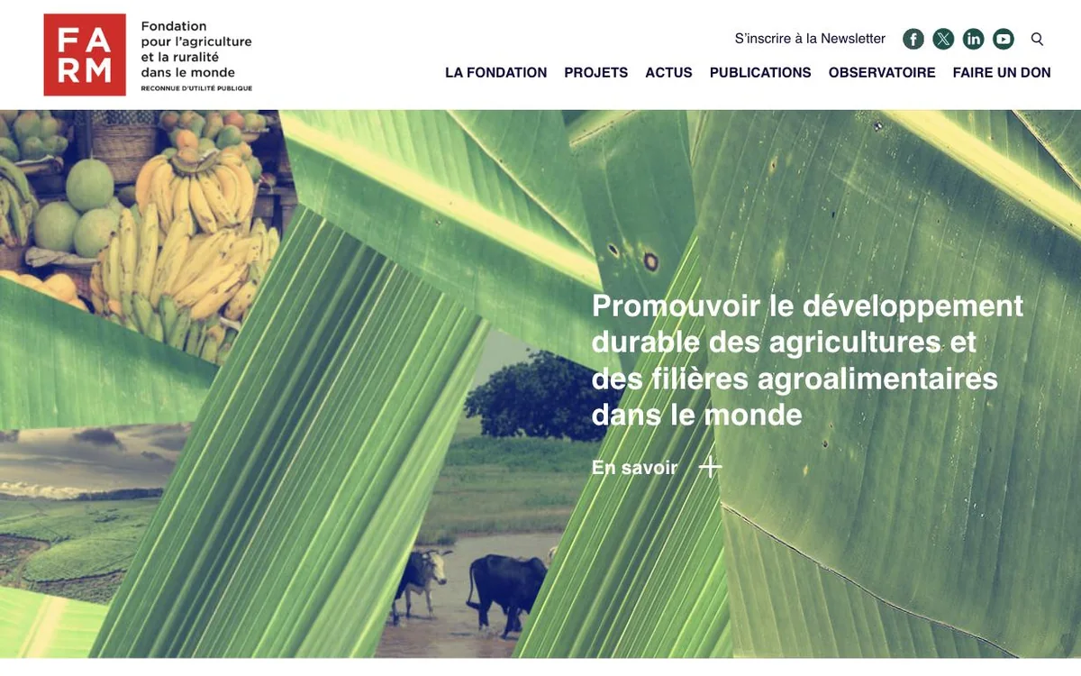 Aperçu du site de la Fondation FARM