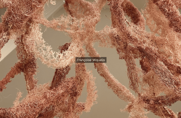 Gros plan de textures organiques complexes et entrelacées dans des tons de marron et de beige, mettant en valeur le design de studio à son meilleur. Limbus Studio