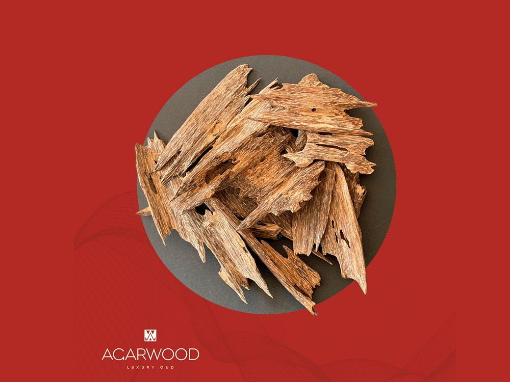 Des morceaux de bois d'agar élégamment disposés sur une surface ronde noire, sur fond rouge riche, incarnent l'essence de « Acarwood Luxury Oud ». Ce design époustouflant met en valeur le talent artistique et le savoir-faire de la création de parfums. Limbus Studio
