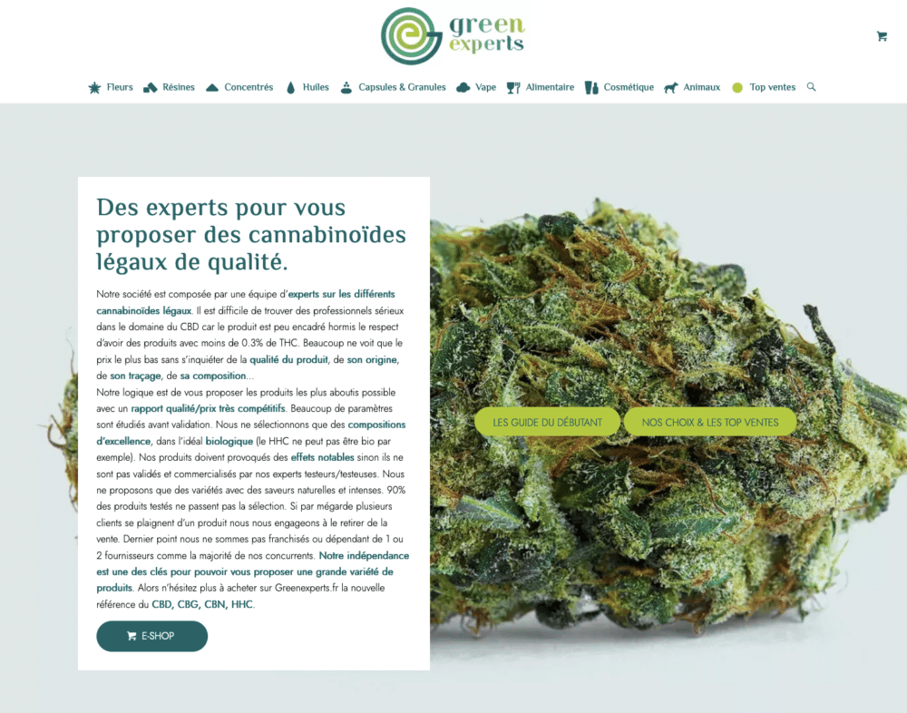 Site Web avec un texte décrivant les cannabinoïdes légaux et une image d'une tête de cannabis au premier plan, présenté par des experts verts promouvant un mode de vie durable.