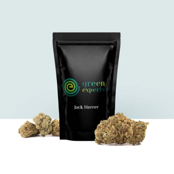 Un sac noir étiqueté « experts verts » et « Jack Herrer » avec des têtes de cannabis, stylisé avec une touche de design créatif, repose élégamment sur un fond clair. Limbus Studio