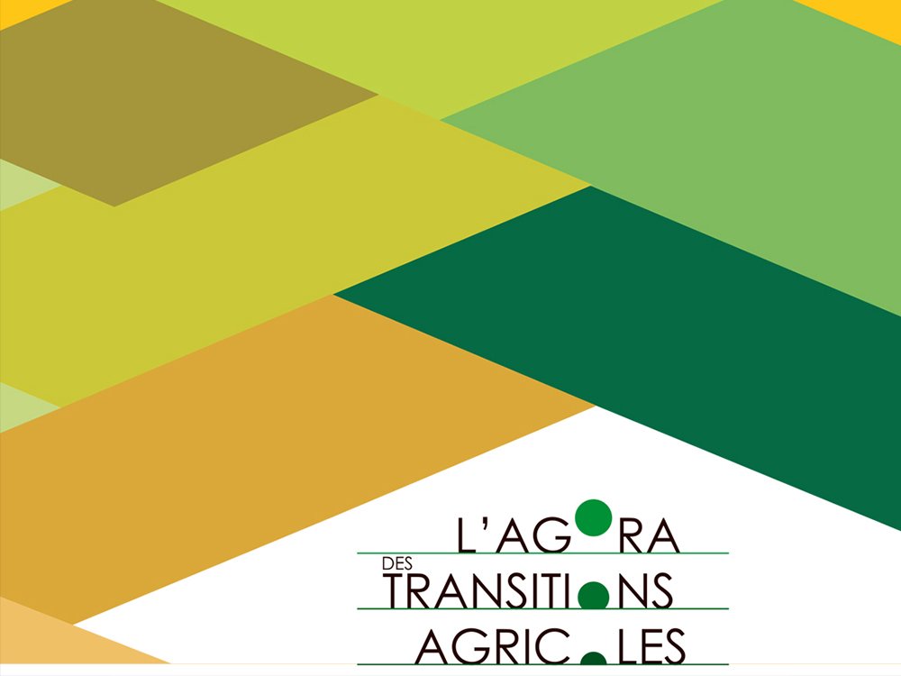Des formes géométriques abstraites aux tons verts et jaunes planent au-dessus du texte « L'Agora des Transitions Agricoles », réalisé avec la finesse d'un studio de design. Limbus Studio