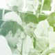 asrecruitment finance.com - Banque