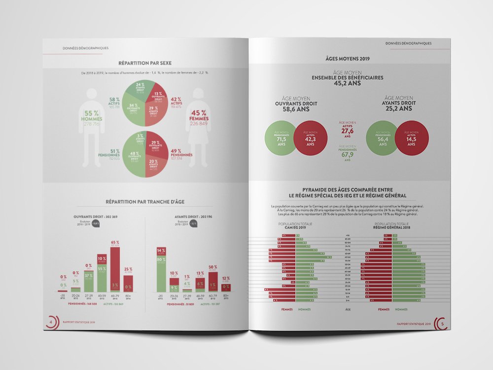 Livret ouvert contenant des graphiques et des tableaux détaillés sur les données démographiques, magnifiquement conçus par un studio utilisant du rouge et du vert pour représenter les répartitions par âge et par sexe. Limbus Studio