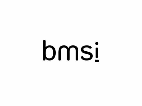 bmsi | Logo & charte graphique - Logo